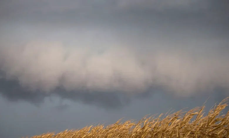 Tornadoes possible for central Illinois along with hail, strong winds