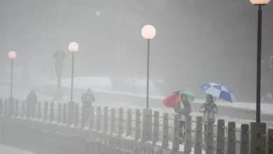 Toronto sets warmest temperature record amid heavy rains