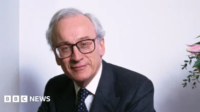 Tory peer quits after Lords probe into PPE deals