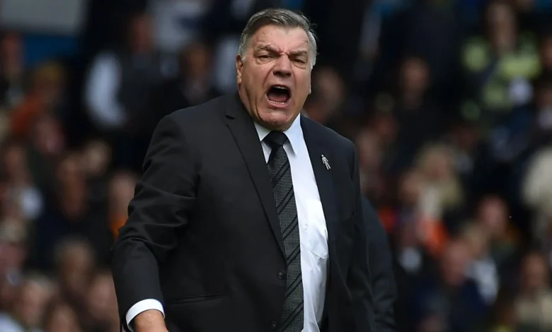 Tottenham: Danny Murphy backs Allardyce to save Premier League club