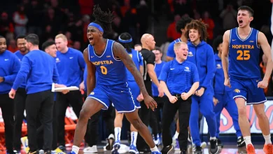 Towson vs. Hofstra Prediction, Odds for CAA Championship Semifinal