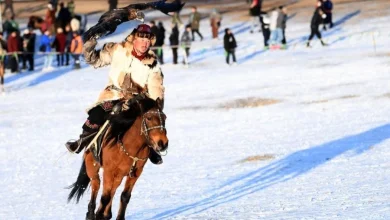 Traditional Eagle Festival celebrates nomadic heritage in Mongolia