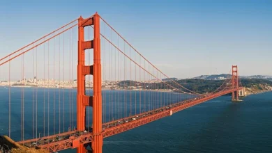 Traffic conditions & safety: San Francisco car accident lawyers can help