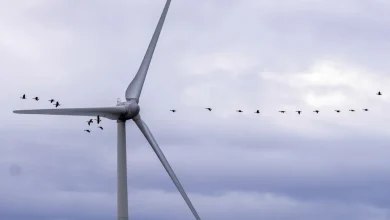 Transaction évaluée à 9 milliards | Brookfield et La Caisse achètent le producteur d’énergie renouvelable Boralex