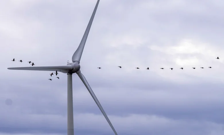 Transaction évaluée à 9 milliards | Brookfield et La Caisse achètent le producteur d’énergie renouvelable Boralex