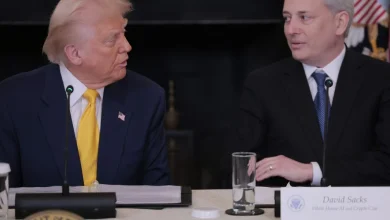 Trump's AI czar calls for US to 'get out' of war and warns Iran could make Gulf uninhabitable