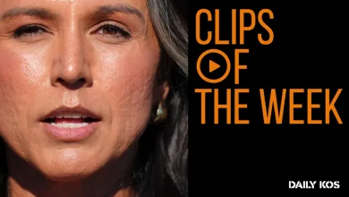 Tulsi Gabbard flails on Iran, plus GOP infighting over new DHS pick