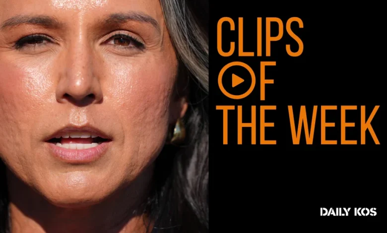 Tulsi Gabbard flails on Iran, plus GOP infighting over new DHS pick