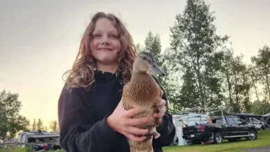 Tumbler Ridge shooting victim Maya Gebala suffers surgery setback