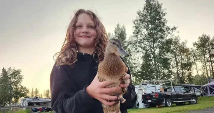 Tumbler Ridge shooting victim Maya Gebala suffers surgery setback