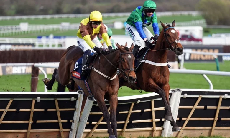 Turners Novices Hurdle result: King Rasko Grey lands Turners - report and free video replay