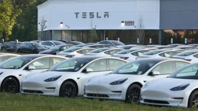 UBS cuts Tesla Q1 delivery estimate and says concerns are growing that robotaxis might not wow investors