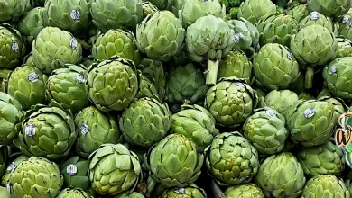 UF study spotlights artichokes as a nutrient‑rich superfood