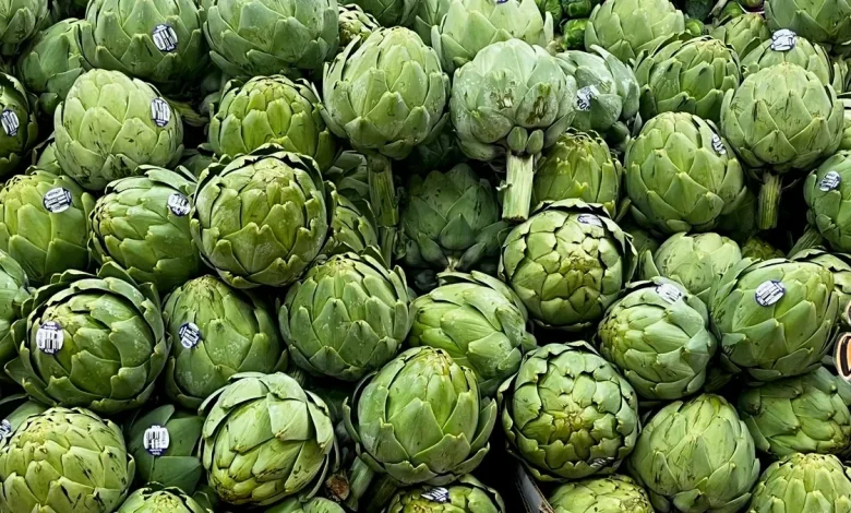 UF study spotlights artichokes as a nutrient‑rich superfood