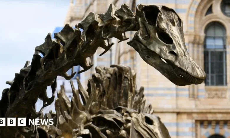 UK's most popular tourist attraction for 2025 takes top spot from British Museum