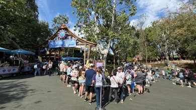 UPDATE: Popularity of 'Bluey' Show at Disneyland Causes Major Operational Shifts