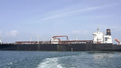 U.S. allows sale of stranded Iran oil to cap fuel-price rises