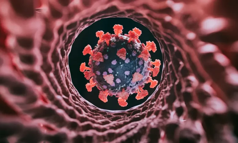 US 'vulnerable' to COVID variant 'Cicada.' What to know about BA.3.2