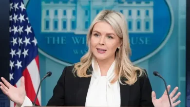 U.S. ‘well on its way’ to controlling Iranian airspace, Leavitt says - National