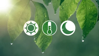 Un printemps, trois dates : laquelle préférez-vous?