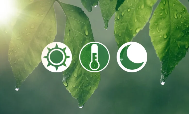 Un printemps, trois dates : laquelle préférez-vous?