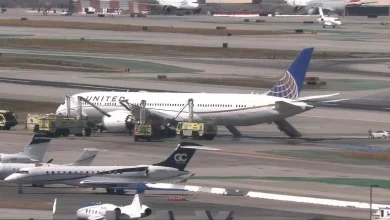 United 787-9 Returns to LAX 36 Minutes After Takeoff — Passenger Video Of Evaucation Down the Slide