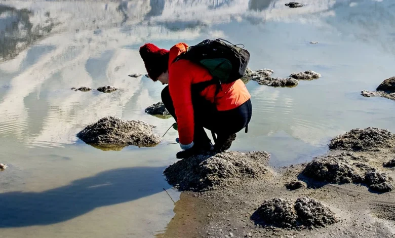 Utah attempts massive Great Salt Lake rescue project ahead of 2034 Olympics