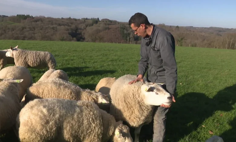 VIDÉO - "Tu as reçu cinq prix en une fois !" Le succès exceptionnel de cet éleveur du Limousin au Salon de l'agriculture