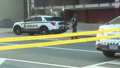 Van crashes through White House barricade, driver detained