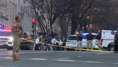 Van drove through barricade outside White House; driver apprehended: officials
