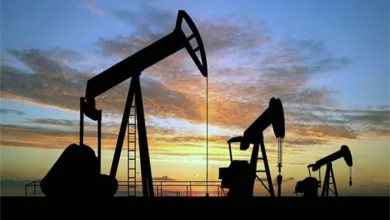 Venezuela suspends 19 oil, gas production-sharing contracts signed under Maduro government, sources say