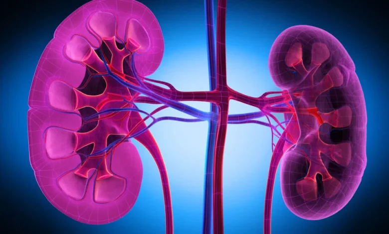 Vertex says drug reduced marker of kidney disease in late-stage trial