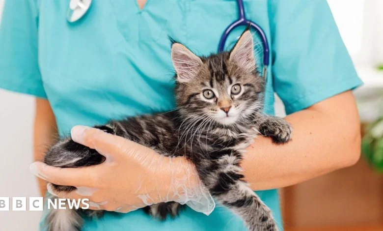 Vet prescription fees to be capped at £21