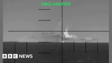 Video of US torpedo hitting Iranian warship released by Pentagon