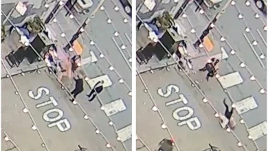 Video shows Mayor Lurie's security shoving man before fight