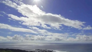WEDNESDAY WEATHER: Wind and cloud but warmer temperatures across the Canary Islands