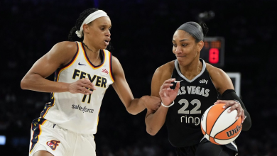 WNBA, Players Meet for Marathon Labor Talks