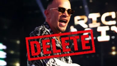WWE Deletes Ricky Saints Concert Segment from Twitter After Fan Backlash