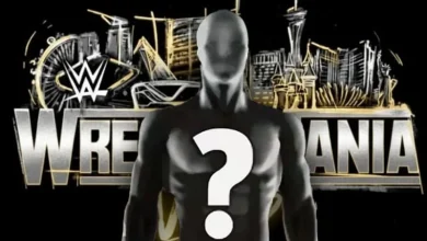 WWE Planning Major Celebrity Appearance For WrestleMania 42