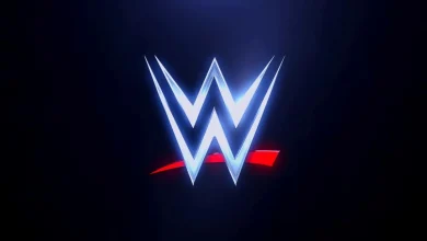 WWE Star Quits The Company