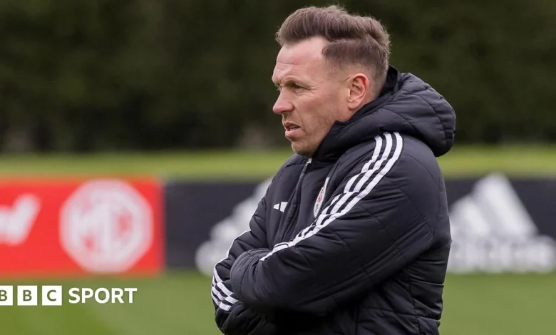 Wales v Bosnia-Herzegovina: What Wales need to win World Cup play-off