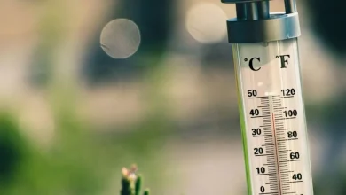 Warmer weather breaks temperature records in N.S.