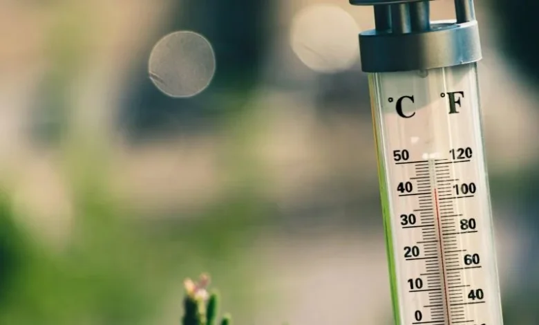 Warmer weather breaks temperature records in N.S.