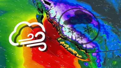 Warnings issued across B.C. for high winds, dangerous alpine snow