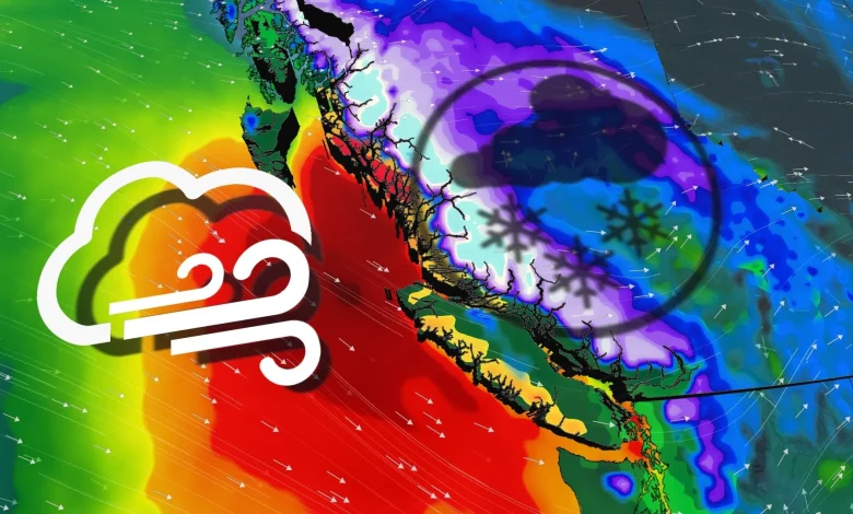 Warnings issued across B.C. for high winds, dangerous alpine snow