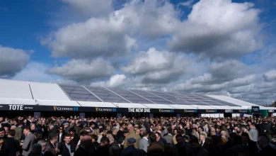 'We want to get him in the bag' - big early activity in Cheltenham ring with Johnny Dineen hoping to get Old Park Star beaten in Supreme