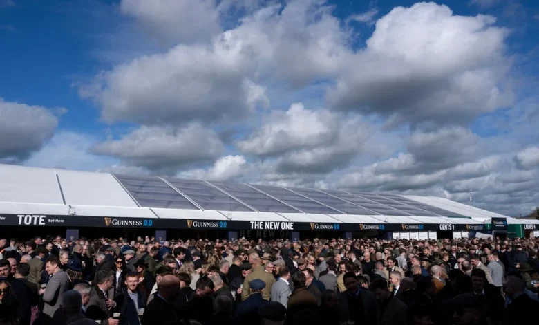 'We want to get him in the bag' - big early activity in Cheltenham ring with Johnny Dineen hoping to get Old Park Star beaten in Supreme