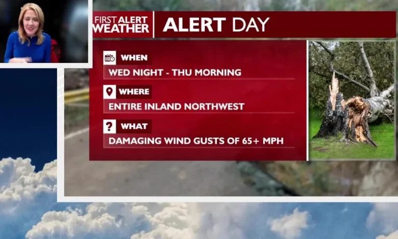 🚨Weather Alert 🚨Dangerously high winds overnight Wednesday into Thursday morning - Kris
