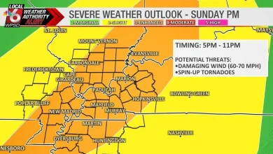 Weather Authority Alert activated for Sunday ahead of potential storms