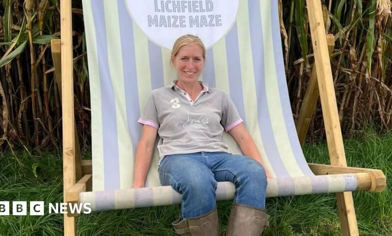 Weather apps 'costing attractions £137k a day'